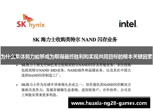 为什么集体努力能够成为取得最终胜利和实现共同目标的根本关键因素