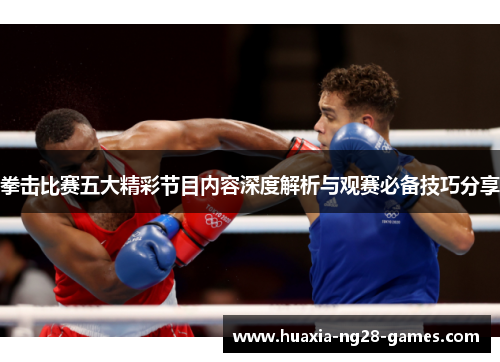 拳击比赛五大精彩节目内容深度解析与观赛必备技巧分享