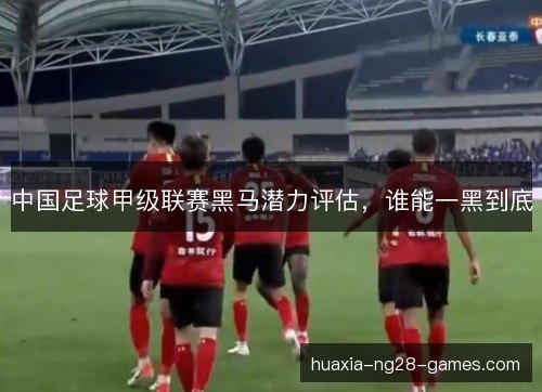 中国足球甲级联赛黑马潜力评估，谁能一黑到底