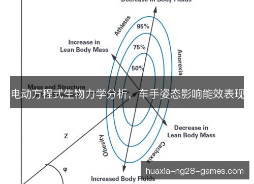 电动方程式生物力学分析，车手姿态影响能效表现
